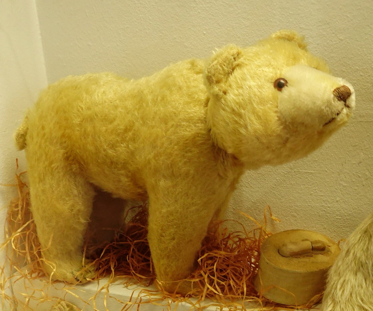 Alter Steiff-Plüschbär im Museum