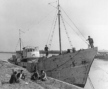 Der Thunfischkutter Daigo Fukuryū Maru („Glücklicher Drache Nr. 5“)