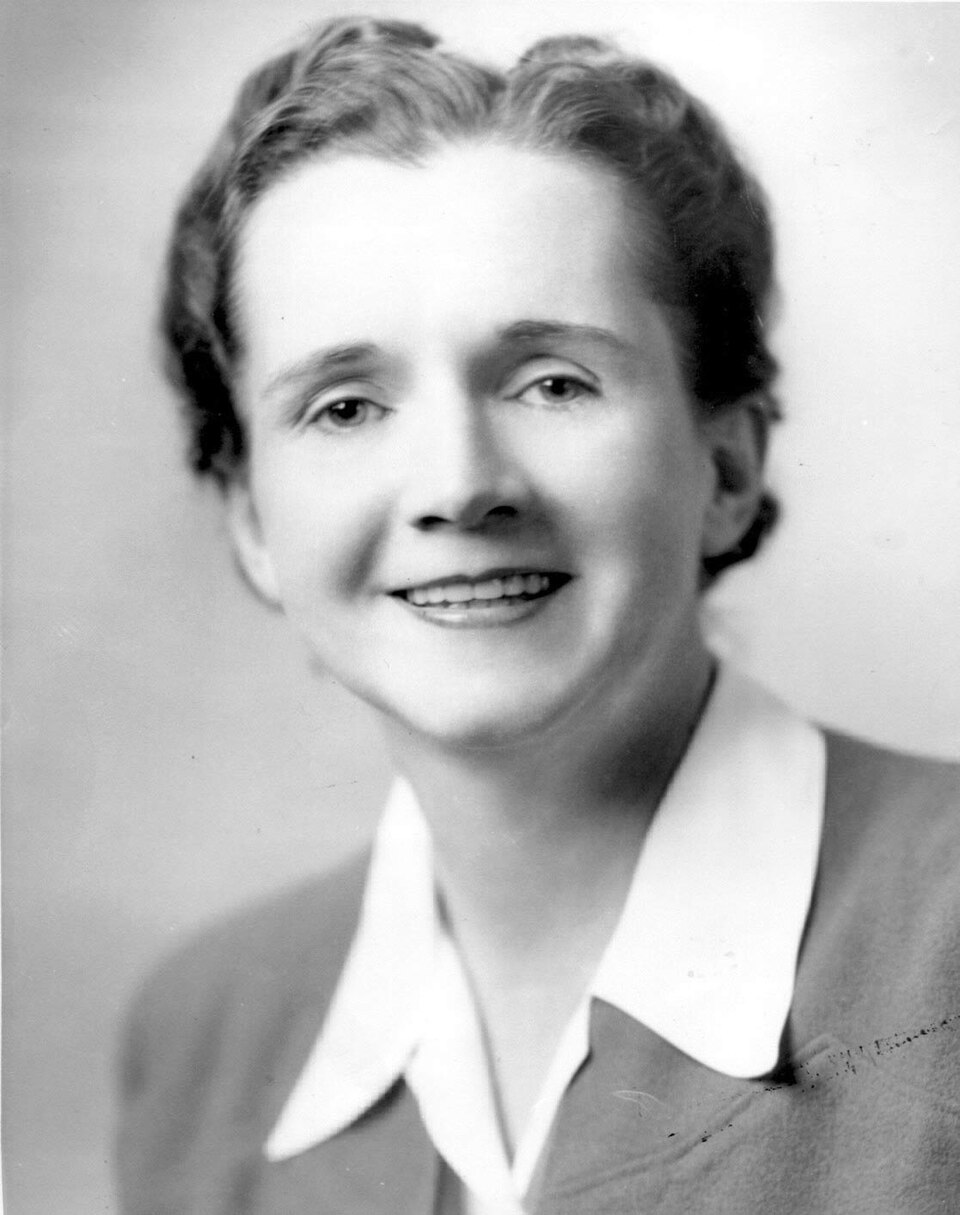 Porträt der Biologin Rachel Carson