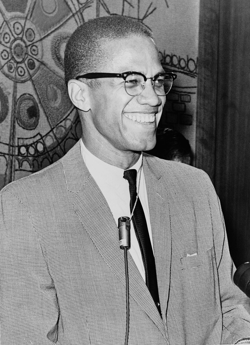 Porträt von Malcolm X, 1965