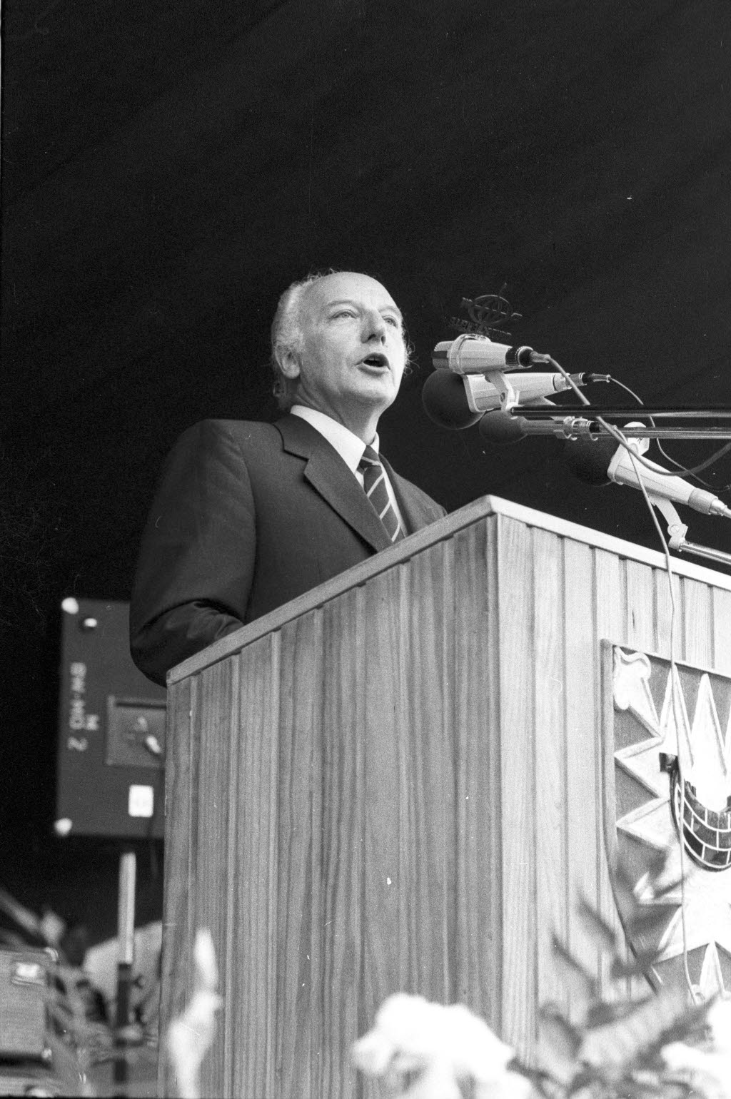 Bundespräsident Walter Scheel spricht auf dem Rathausplatz