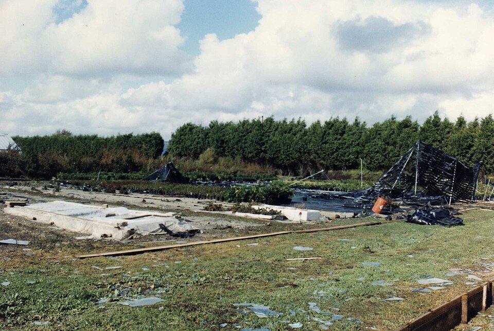 Sturmschäden nach dem „Great Storm" von 1987 in Südengland