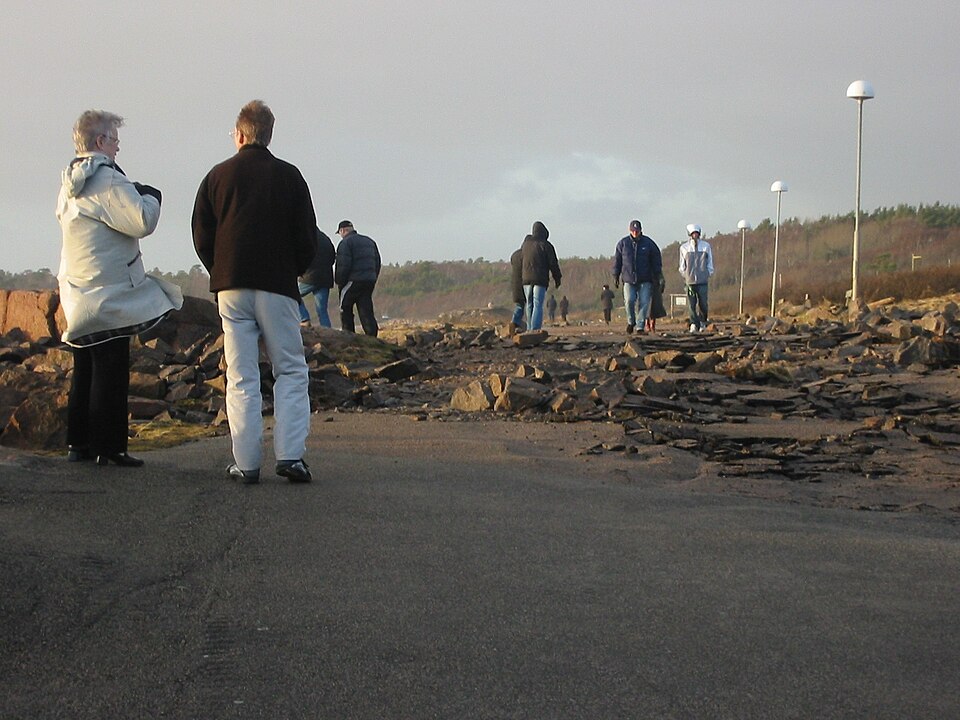 Sturmschäden nach Orkan „Gudrun"/„Erwin" in Schweden, Januar 2005