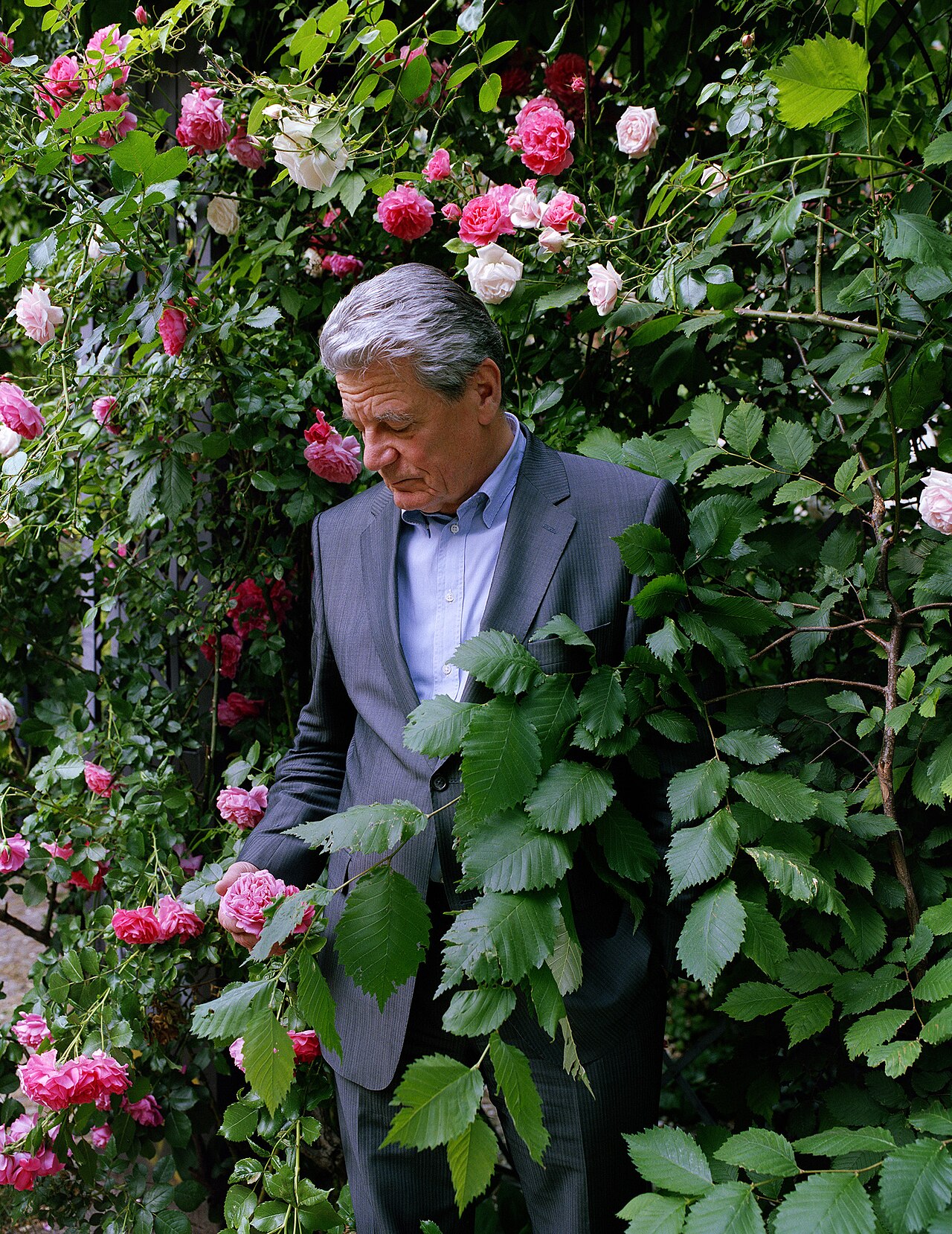 Joachim Gauck, 2012 zum Bundespräsidenten gewählt