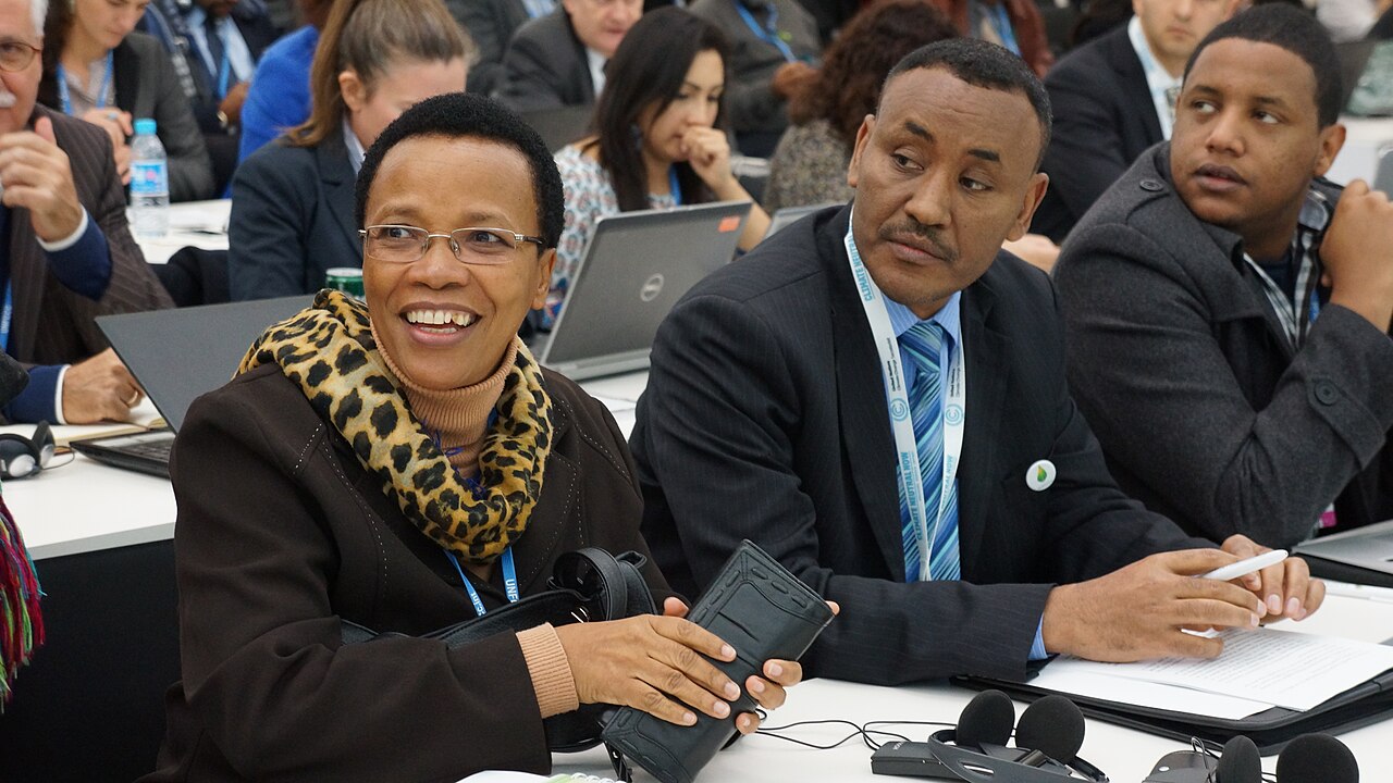 Die UN-Klimakonferenz COP21 in Paris, 2015