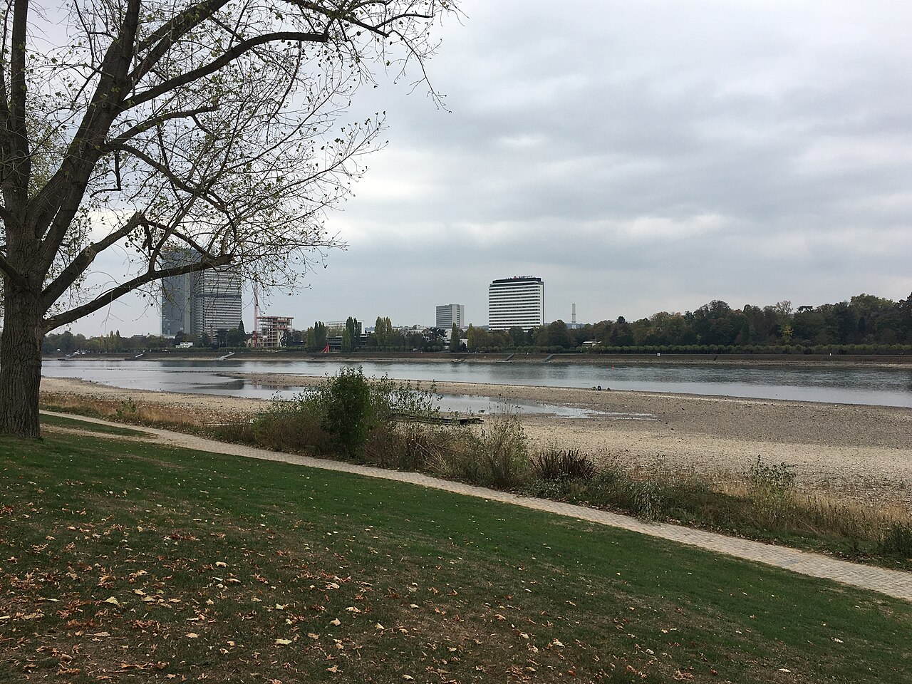 Niedrigwasser am Rhein im Dürresommer 2018