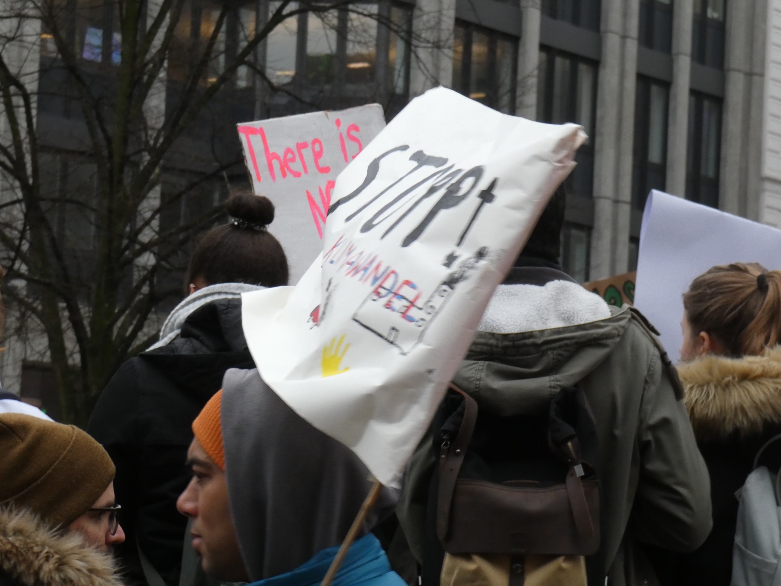 Klimastreik von Fridays for Future in Hamburg am 1. März 2019
